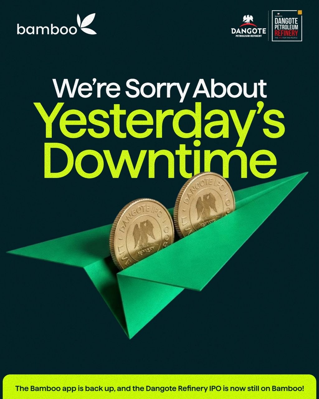 Bamboo Pubic Apology
