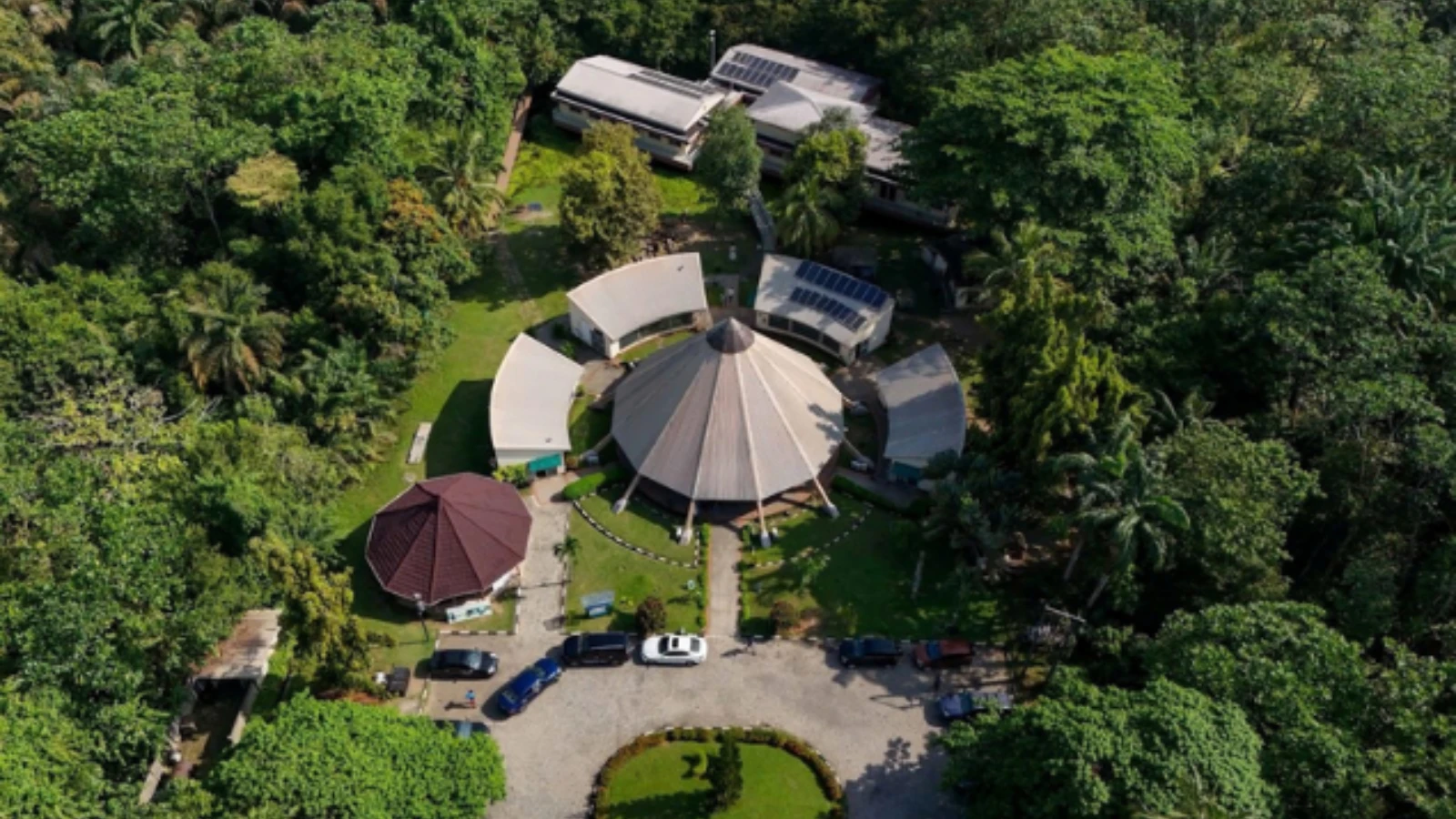 THE GREEN SHIELD: HOW LEKKI CONSERVATION CENTRE HELPS PROTECT LAGOS FROM FLOODING